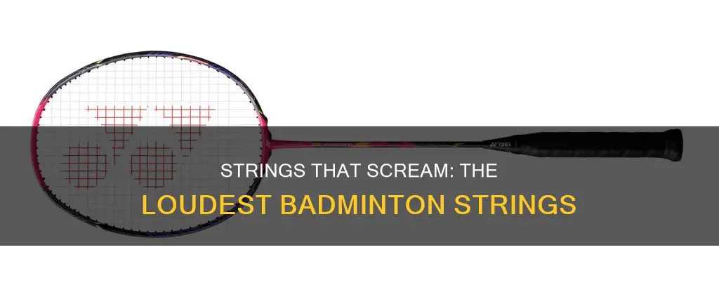 what badminton string is the loudes