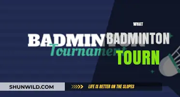 Badminton's Grand Slam: The Top Tournaments