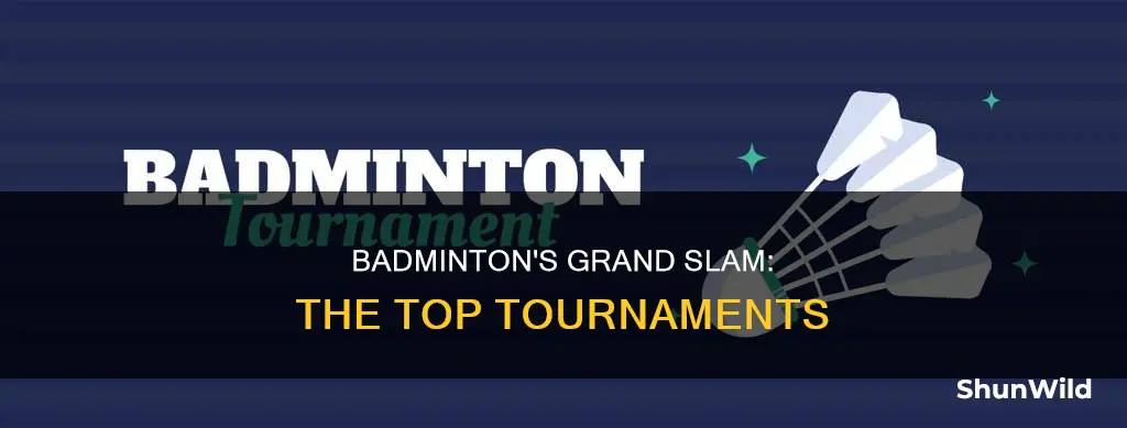 what badminton tourn