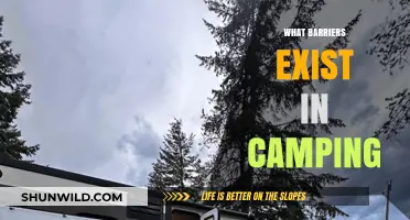 Overcoming Camping Challenges: Exploring Barriers to Outdoor Adventures