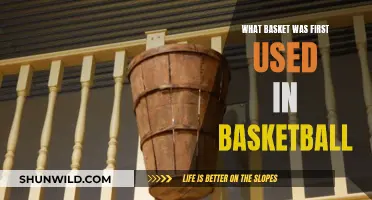 The Evolution of the Basketball Hoop: From Hoops to Baskets