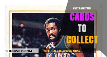 Basketball Cards: Which Ones to Collect?