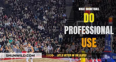 Basketball Like the Pros: Choosing the Right Ball