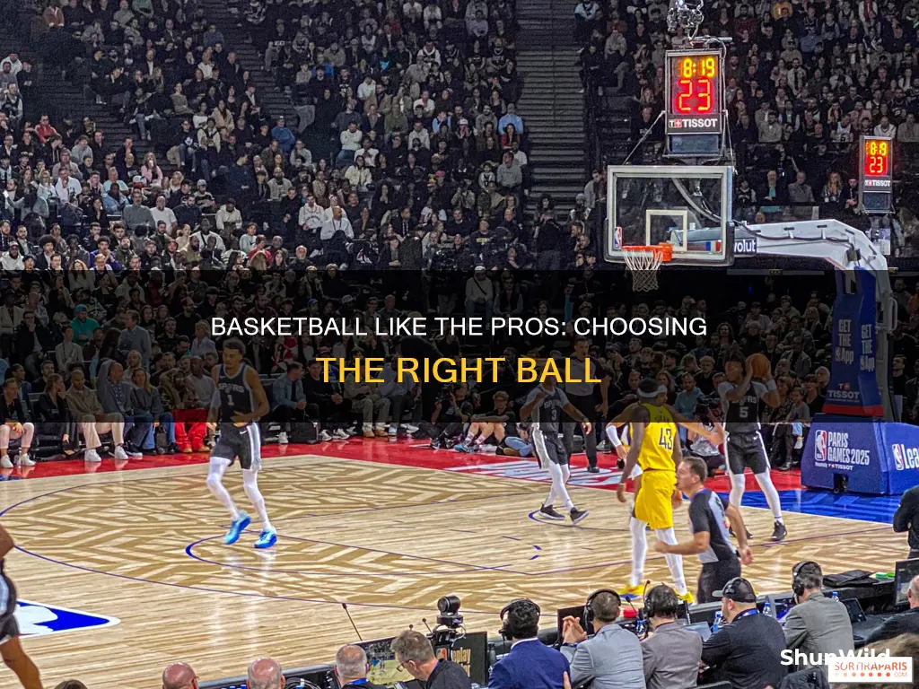 what basketball do professionals use