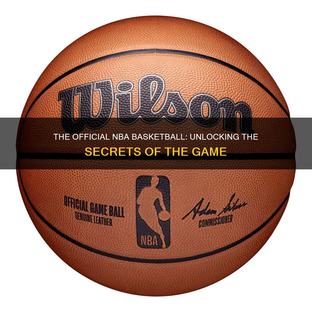 what basketball does nba use