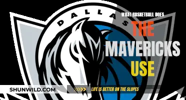 Unveiling the Mavericks' Court-Winning Basketball Strategy