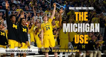 The Michigan Basketball Court: A Look at the Equipment