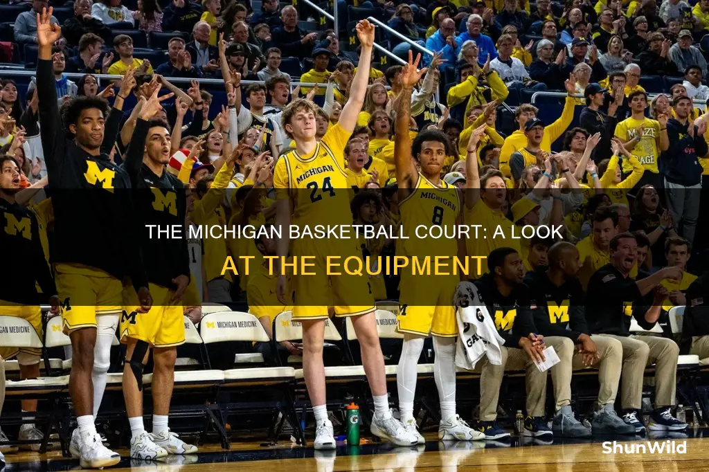 what basketball does the michigan use