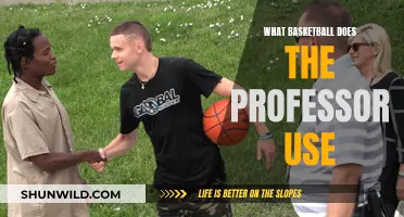 The Professor's Court: Unveiling the Basketball of Choice