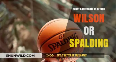 Which Basketball Brand Shoots and Scores?