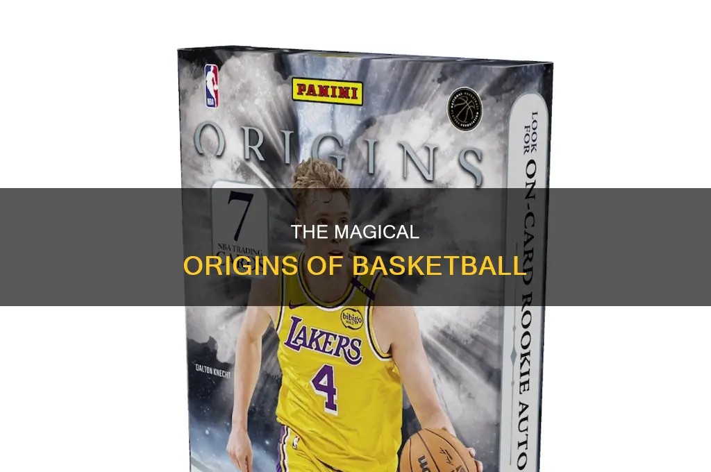 what basketball is the magic from