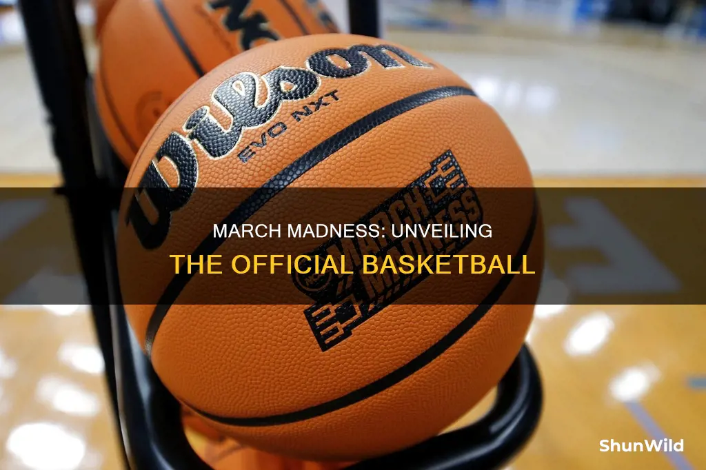 what basketball is used in march madness