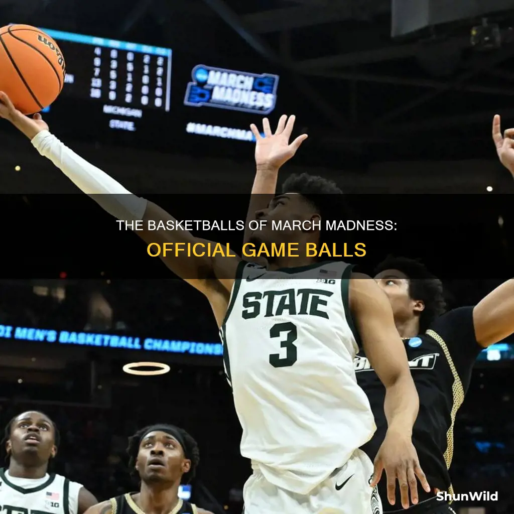 what basketball is used in march madness