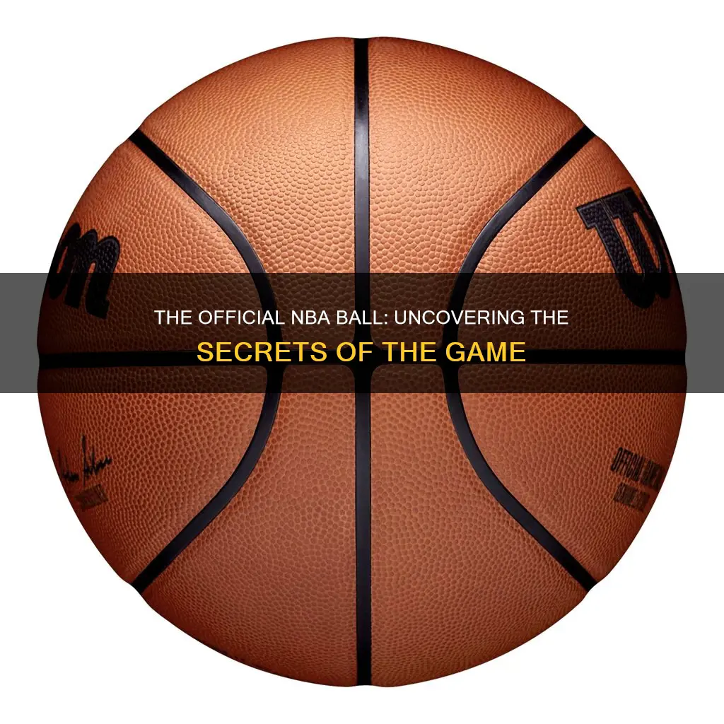 what basketball is used in the mba