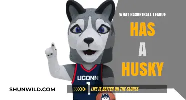 Which Basketball League Welcomes a Husky?