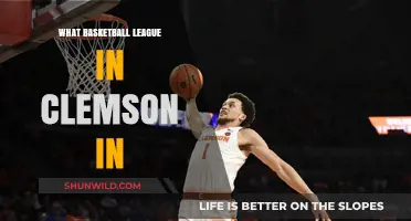 Clemson Basketball: Which League Do They Play In?