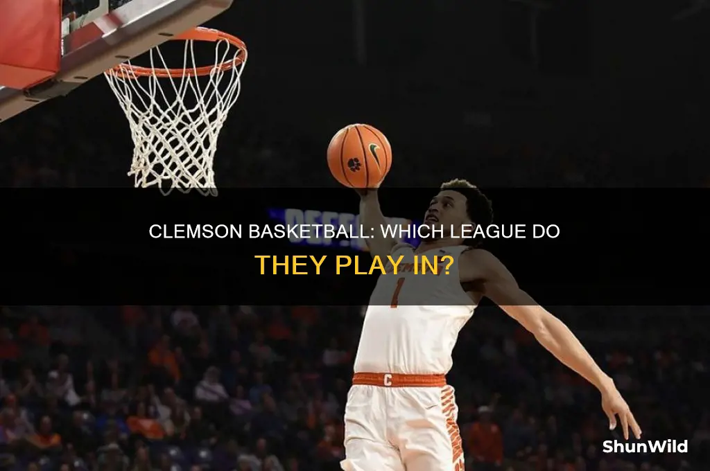what basketball league in clemson in