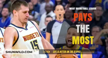 Lucrative Basketball Leagues: Where the Money Is