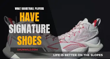 Signature Shoes: Basketball's Iconic Player Exclusives