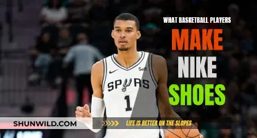 Basketball Stars: Nike's Shoe Collaborators