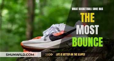 Best Basketball Shoes for Bounce and Spring