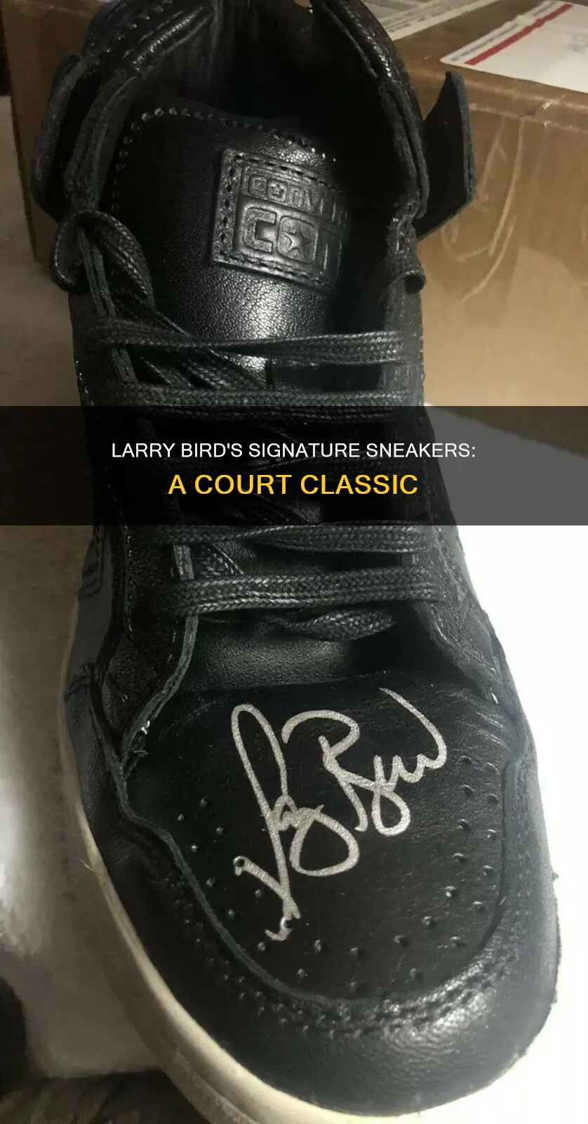 what basketball shoes did larry bird wear