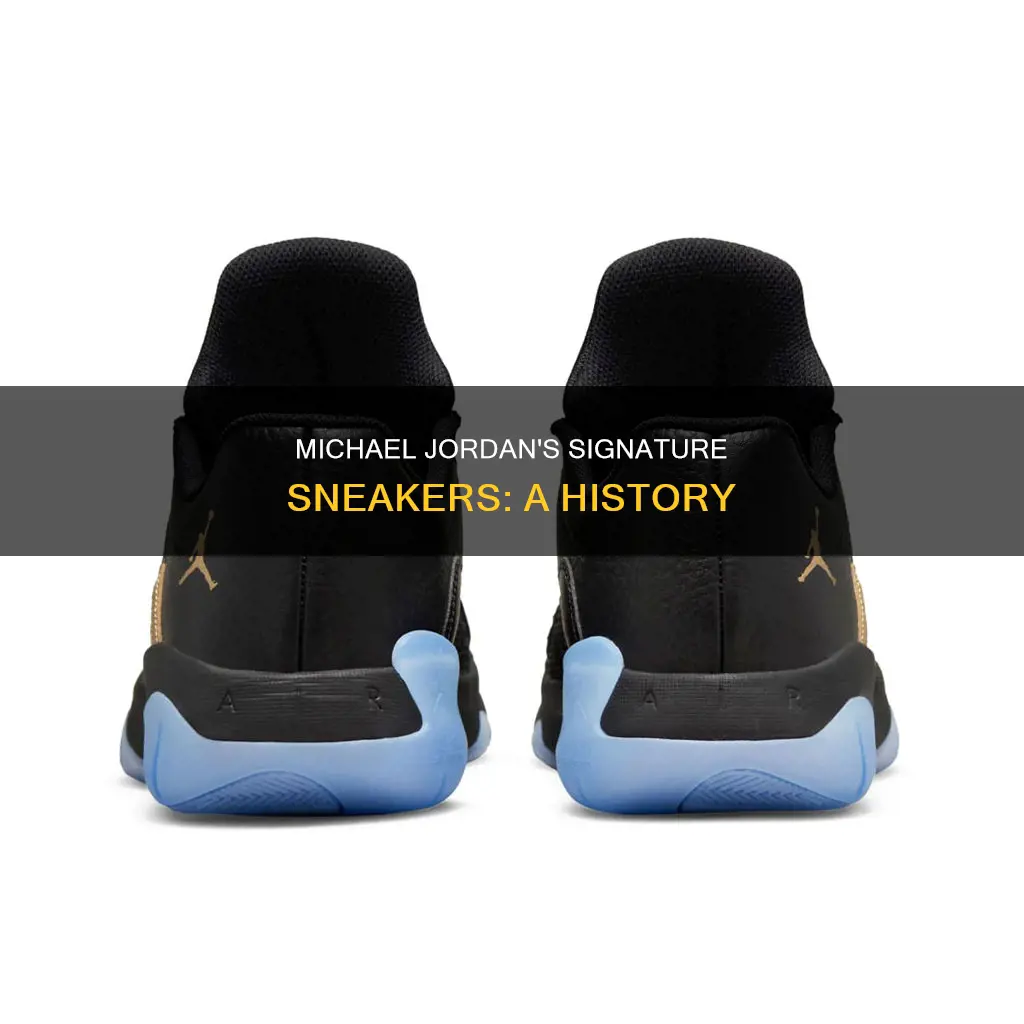 what basketball shoes did michael jordan wear