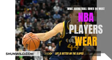 NBA Players' Favorite Basketball Shoes: Top Brands Revealed