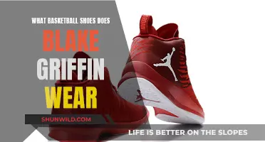 Blake Griffin's Basketball Shoes: Top Picks