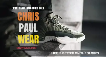 Chris Paul's Signature Basketball Shoes: A Detailed Guide