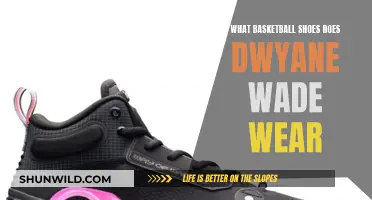 Dwyane Wade's Basketball Shoes: What's His Favorite Pick?