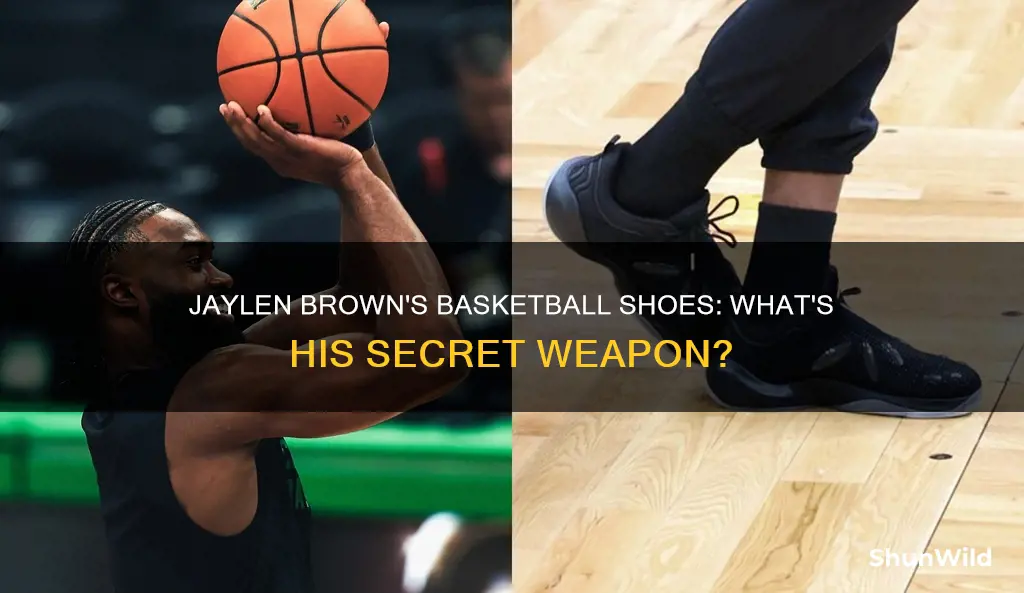 what basketball shoes does jaylen brown wear