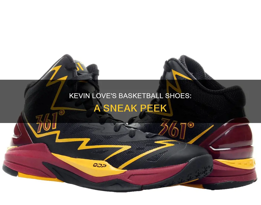 what basketball shoes does kevin love wear
