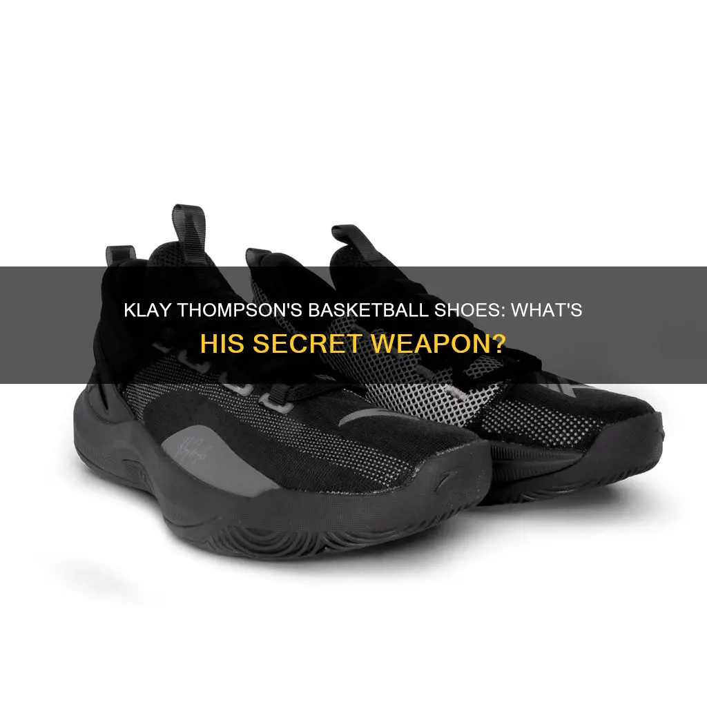 what basketball shoes does klay thompson wear