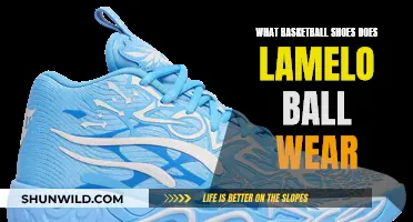 LaMelo Ball's Signature Shoe Game