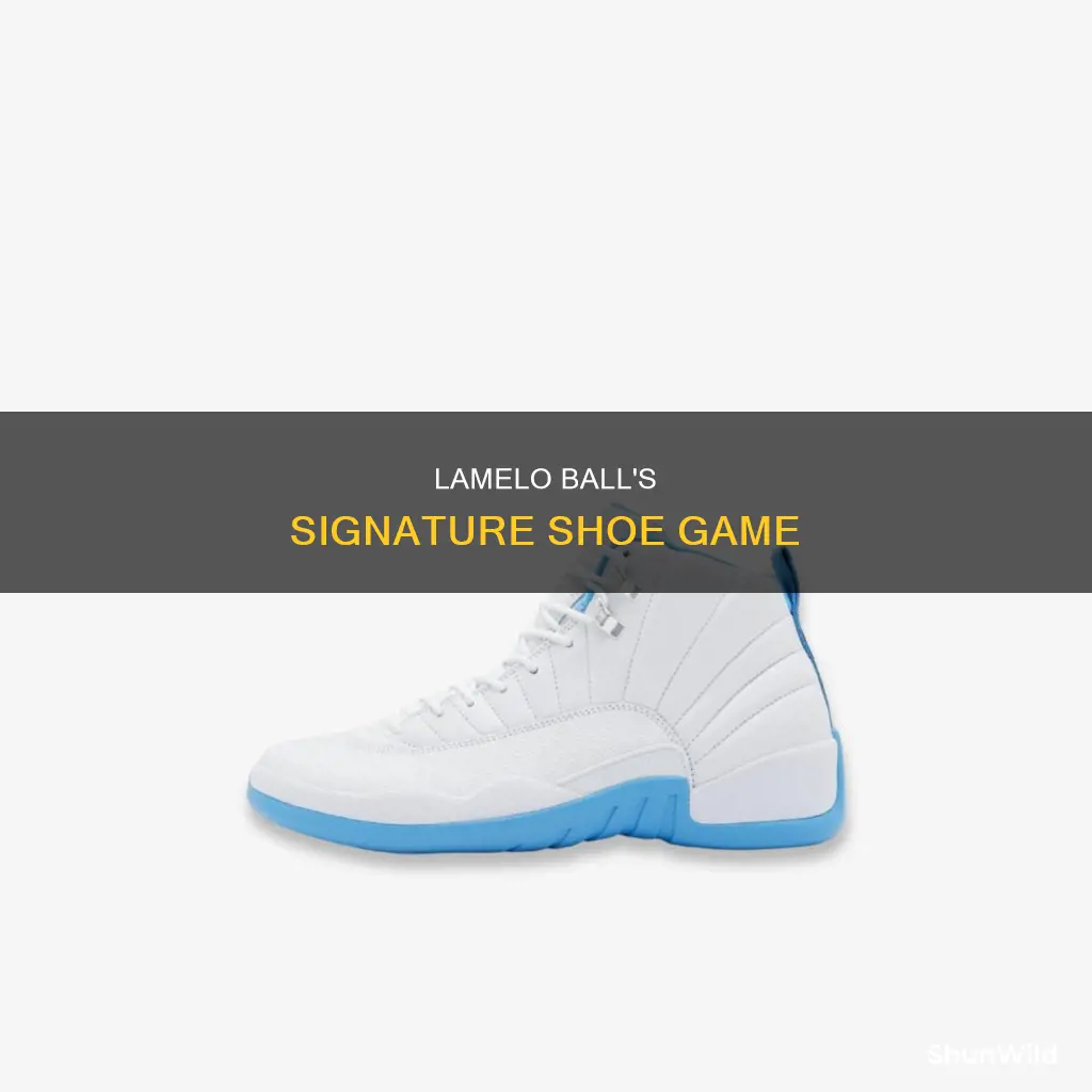 what basketball shoes does lamelo ball wear