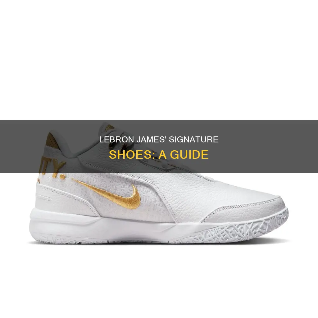 what basketball shoes does lebron james wear