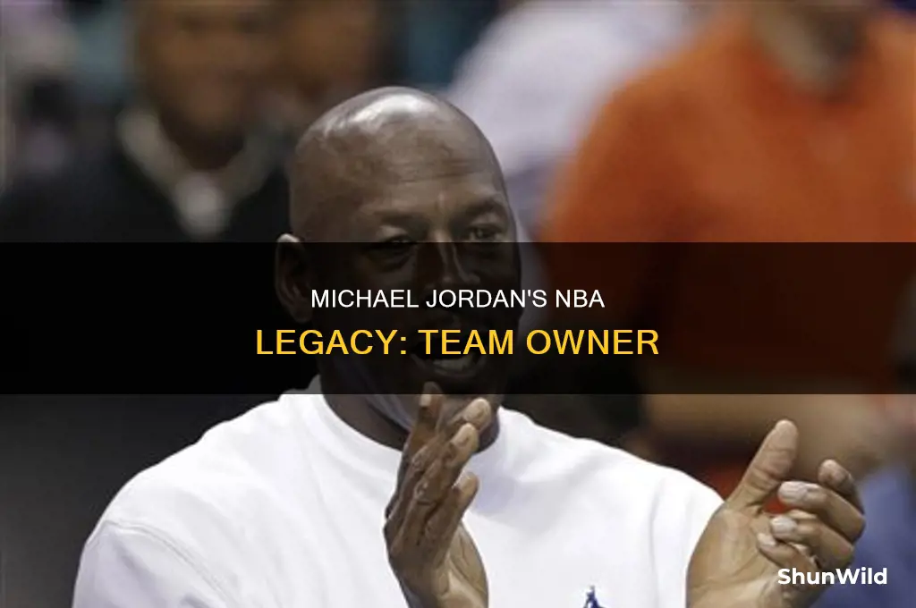 what basketball teaam does michel jordan own