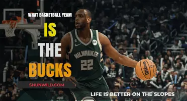 Bucks Basketball: A Team Overview and History