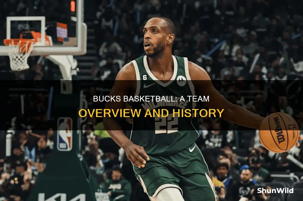 what basketball yeam is the bucks