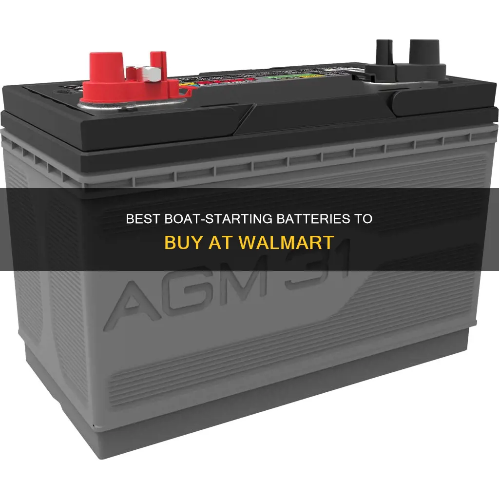 what battery for starting boat wal-mart