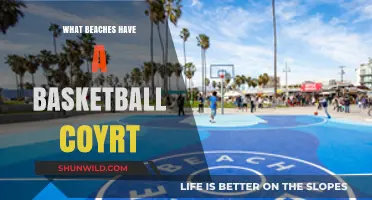 Basketball on the Beach: Courtside Fun in the Sun