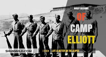The Rise, Fall, and Legacy of Camp Elliott: A Historical Journey