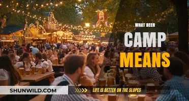 Exploring the Spirit of Beer Camp: Community, Craft, and Celebration