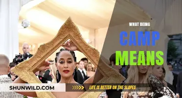 Exploring Camp: Unveiling the Bold, Extravagant, and Playful Aesthetic