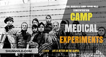 Unveiling Dark Legacies: Nazi Medical Experiments' Controversial Scientific Impacts