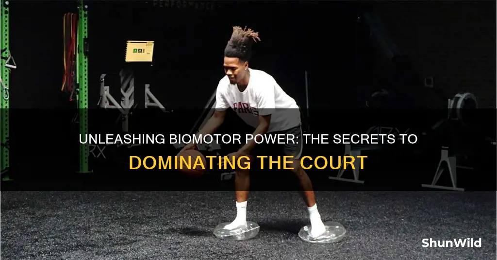 what biomotor abilites are used in basketball