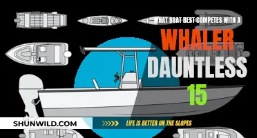 Competing With a Whaler Dauntless 15: Exploring Top Boat Alternatives