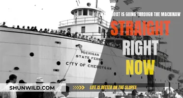 Boats Traversing Mackinaw: Live Updates and Vessel Names