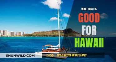 Hawaii's Best Boats: Choosing the Right Vessel